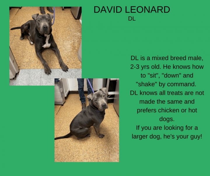 David Leonard 1