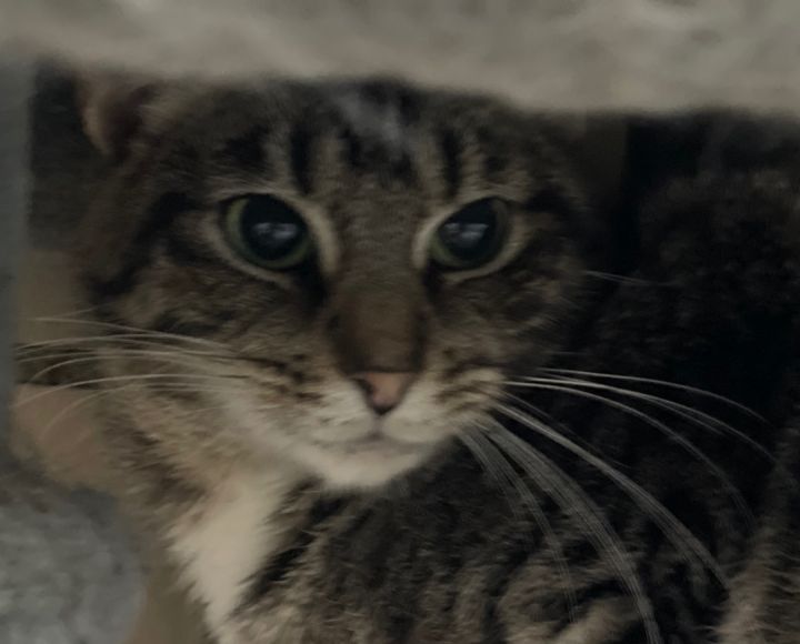Zoe 3