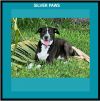 Lily Bahama Mama photo 1