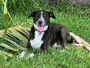Lily Bahama Mama photo 2