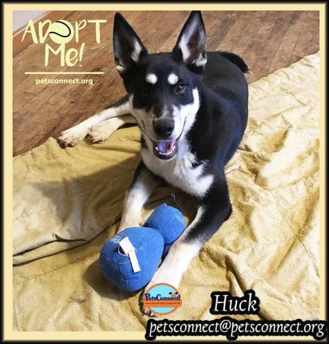 Huck