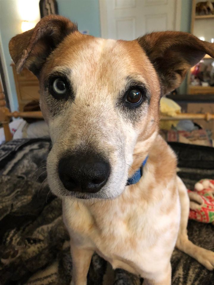 Cooper 1
