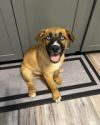 Jax