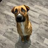 Jax