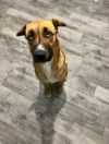 Jax