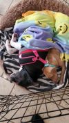 Ceasar & Pierce (Bonded Pair)