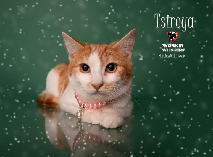 TSIREYA 1