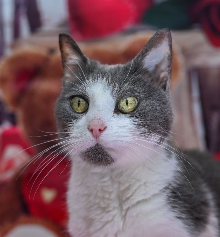 Reese Whiskerspoon 3