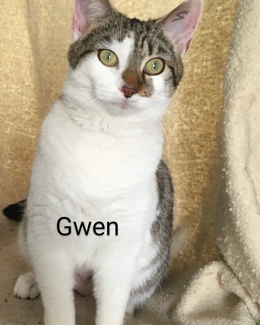 Gwen detail page