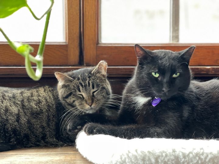 Ozzie (m) & Ellie (f) 2