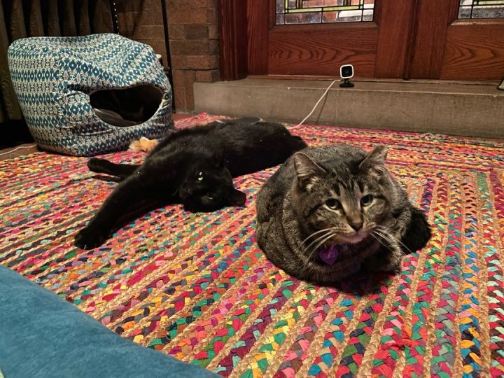 Ozzie (m) & Ellie (f) 3