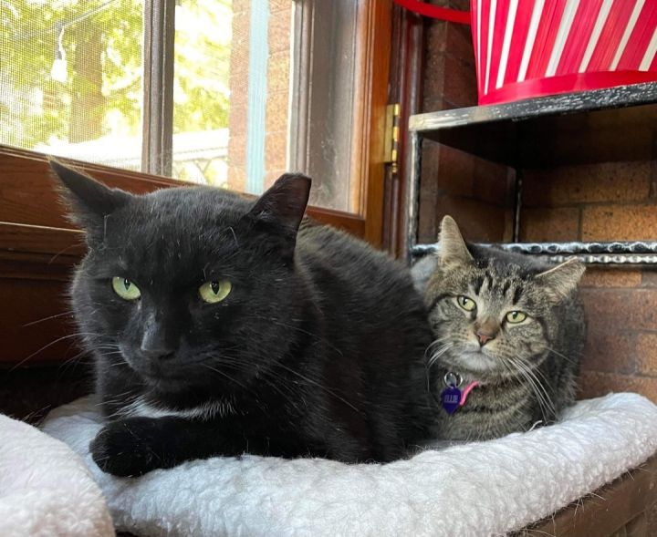 Ozzie (m) & Ellie (f) 1