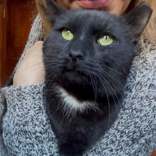 Ozzie (m) & Ellie (f) 4