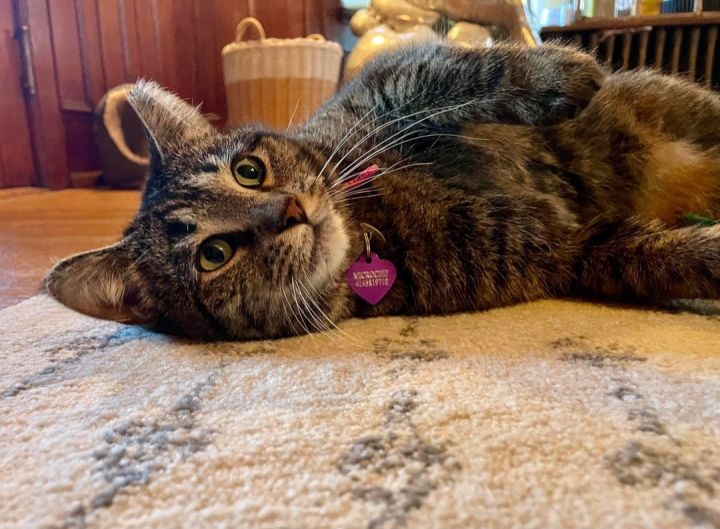 Ozzie (m) & Ellie (f) 6