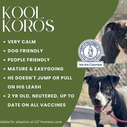 KOROS 3