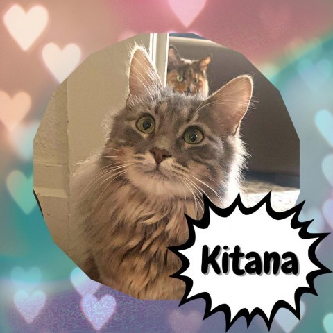 Kitana