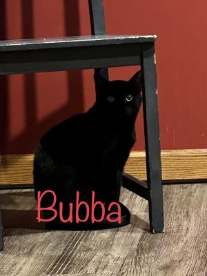 Bubba Cozy Tyner
