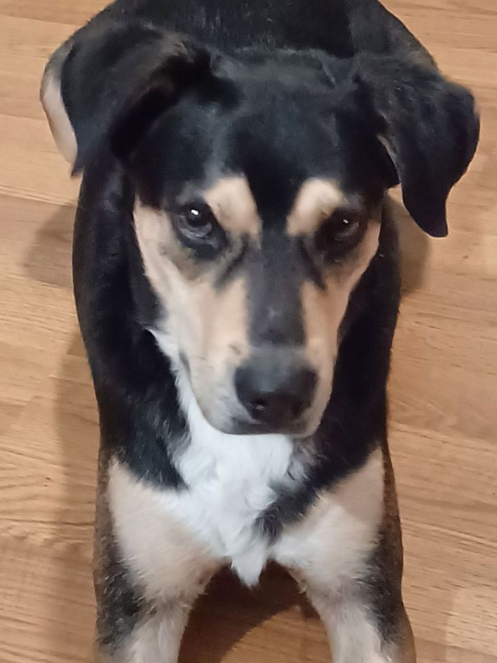 Buster 4