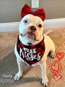 SQUISHY's profile on Petfinder.com