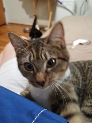 Stevie and Stacy, Baby Female unknown