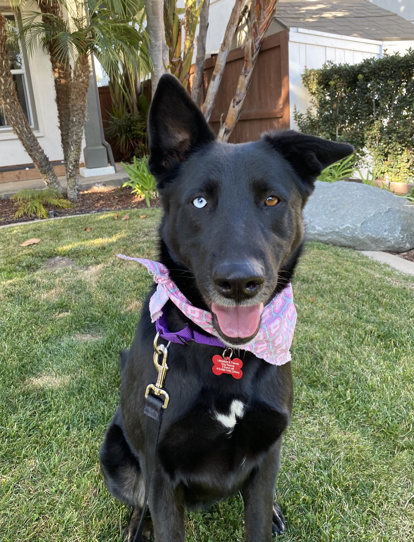 Kira