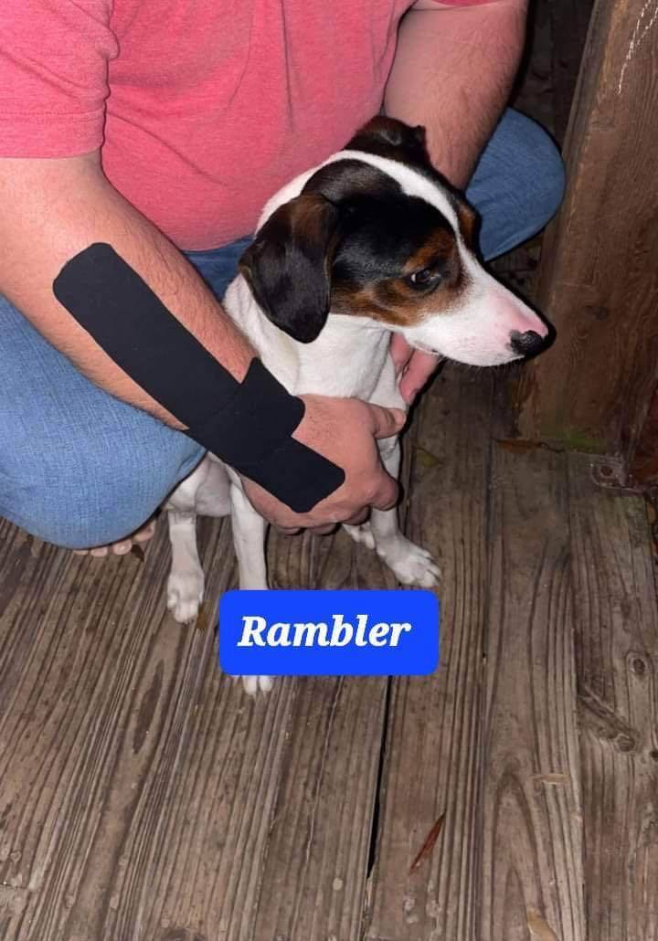 Rambler 2
