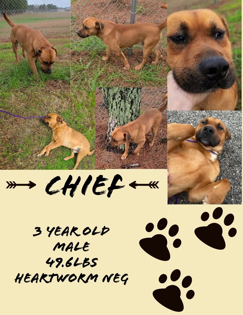 Chief detail page