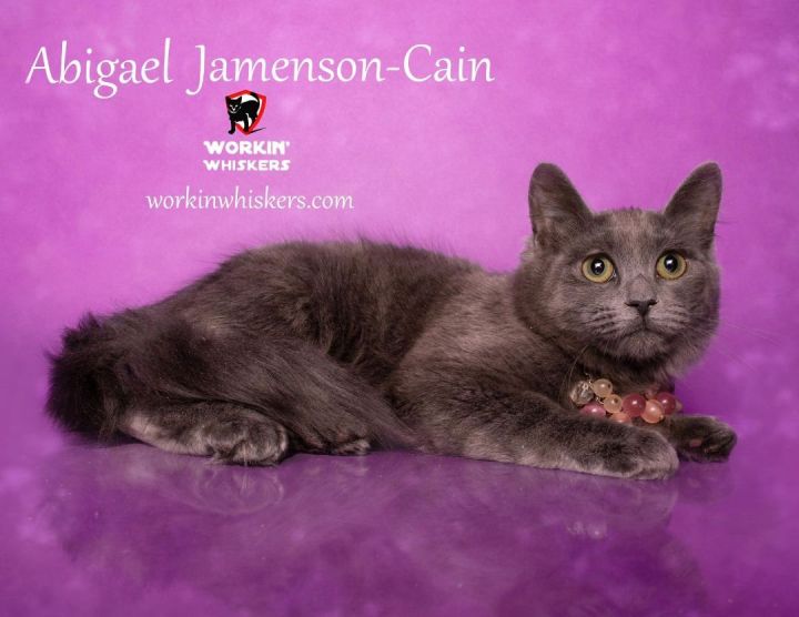 ABIGAEL JAMENSON-CAIN 1