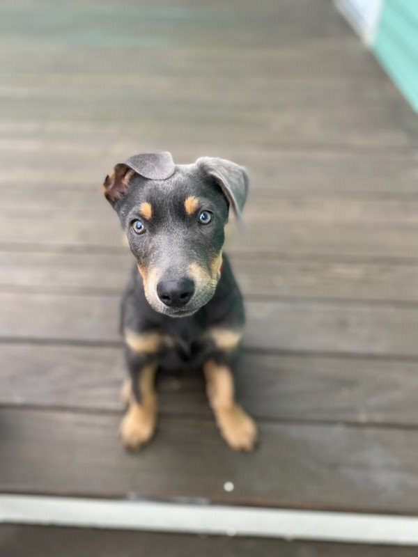 Winnie 2