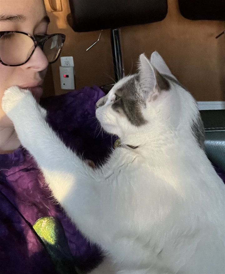Webble Wobbles (and Tighty Whitey) 3