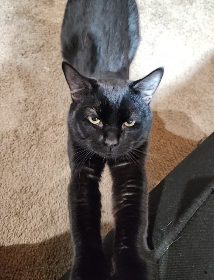 Roscoe 4