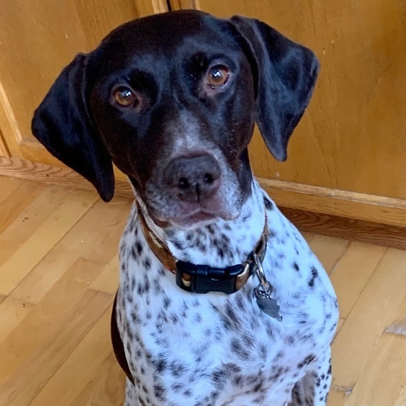 Pepper 1