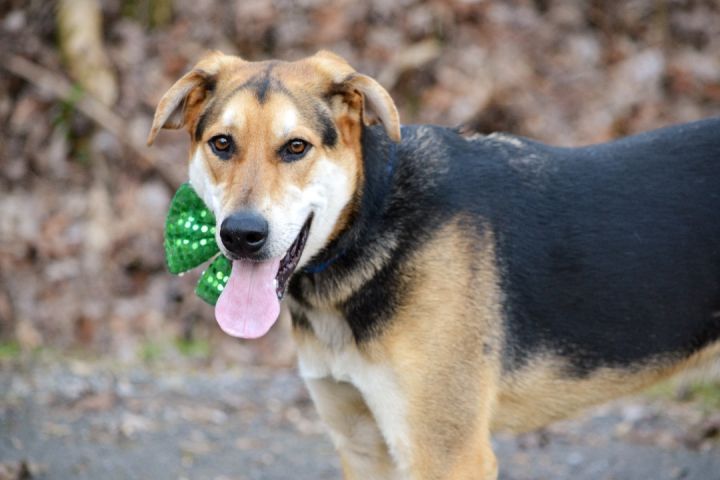 Ryker 3