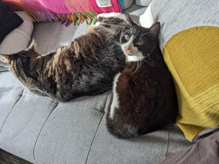 Liebe 2