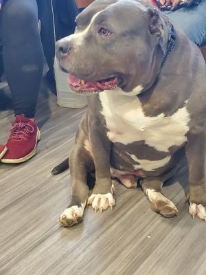 Zeus