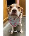 Kayleigh