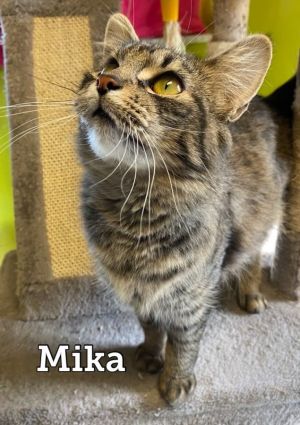 Mika