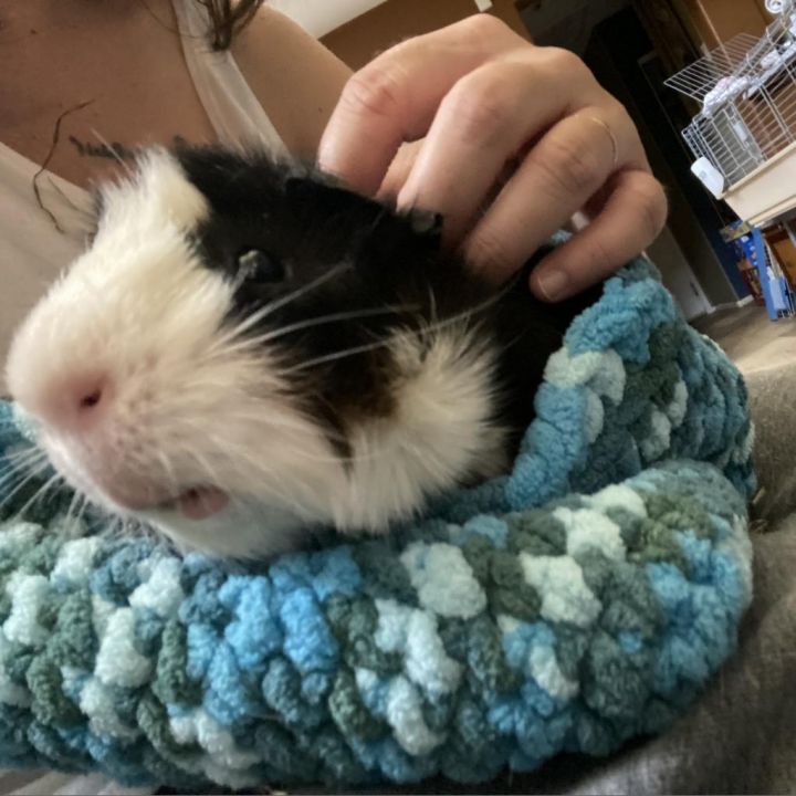 Mochi 2