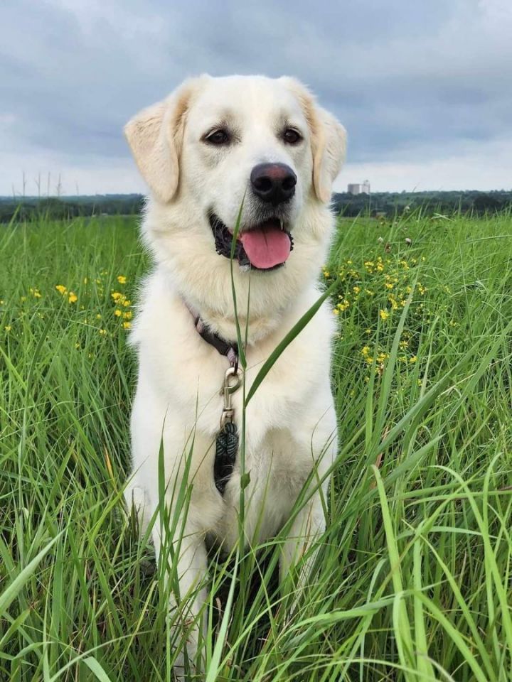 FINLEY!!!  1