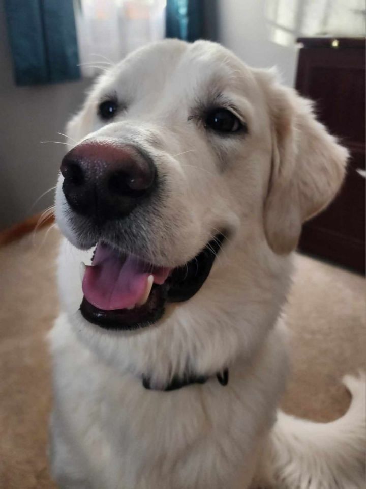 FINLEY!!!  3
