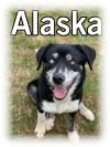 Alaska