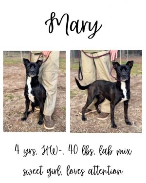 Mary