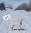 Greta