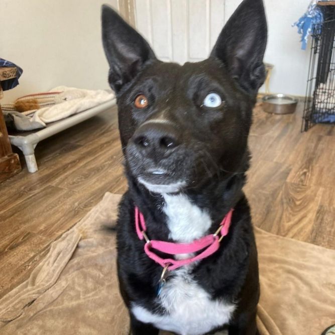 Ellie