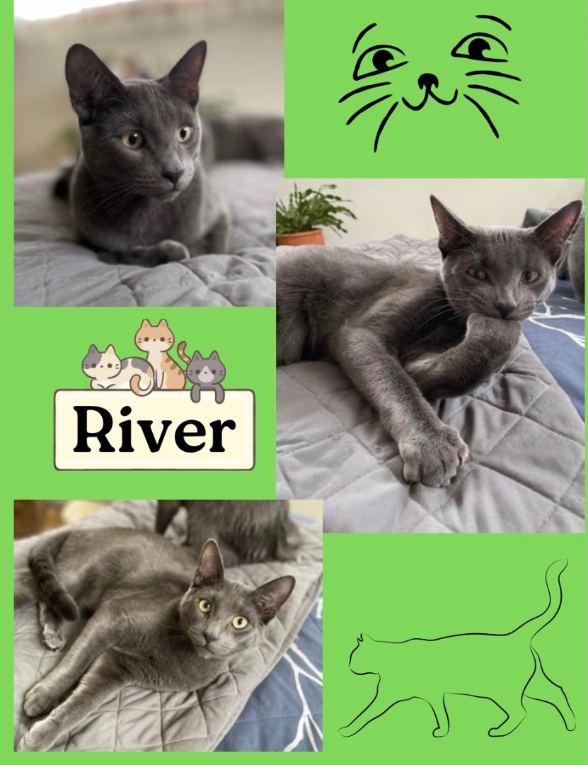 Dove and River…..Bonded pair