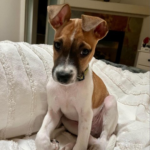 Patches 1