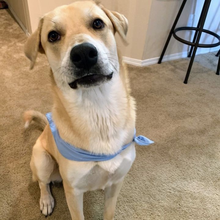 Kona  1