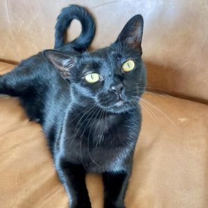Meet Darby Darby is an outgoing lady wholl walk right up to you and introduce herself