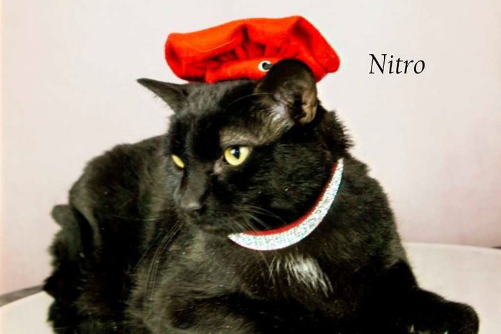 Nitro 2