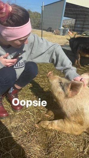 Oopsie / Whoopsie, Adult Male unknown